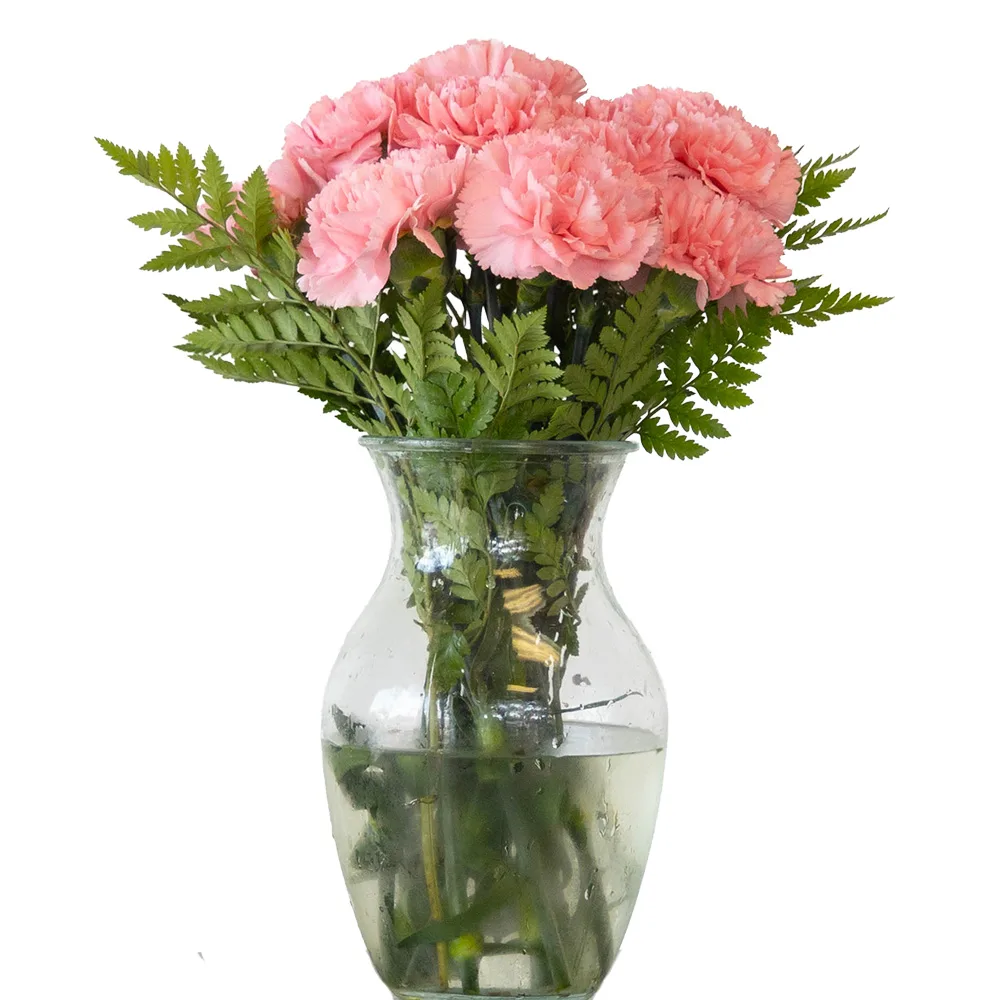 Pink Carnation Floral Arrangement #11