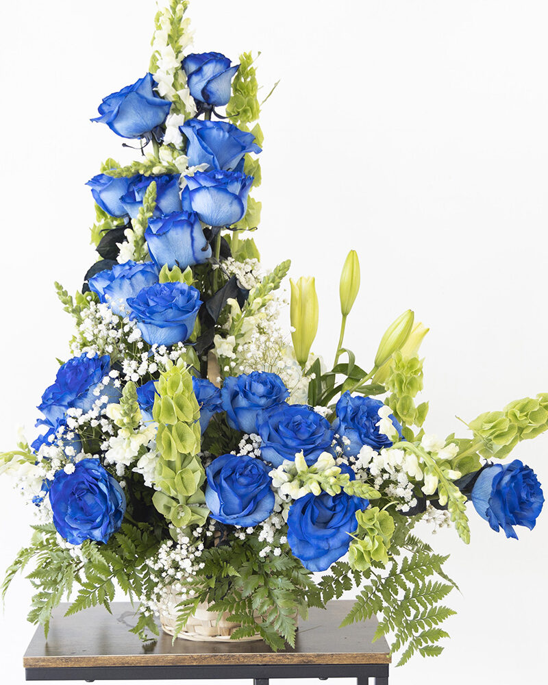 Espiral Blue Roses. Kenia Flower. Store Flowers Hialeah