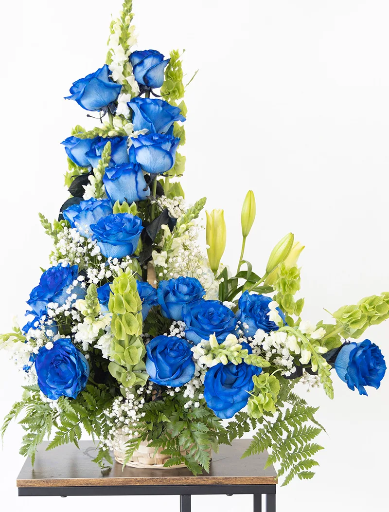 Espiral Blue Roses. Kenia Flower. Store Flowers Hialeah
