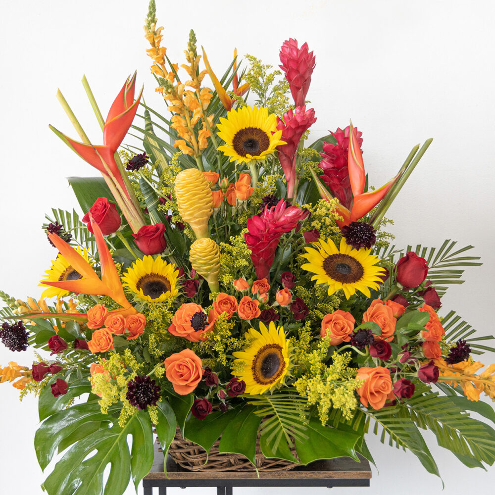 Big Tropical Flowers V2.0