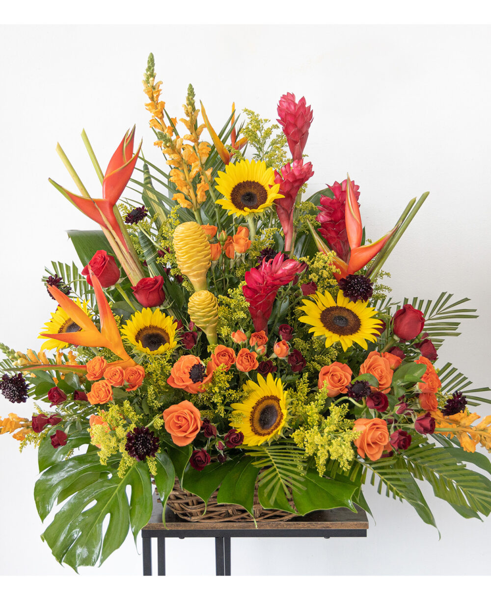 Big Tropical Flowers V2.0