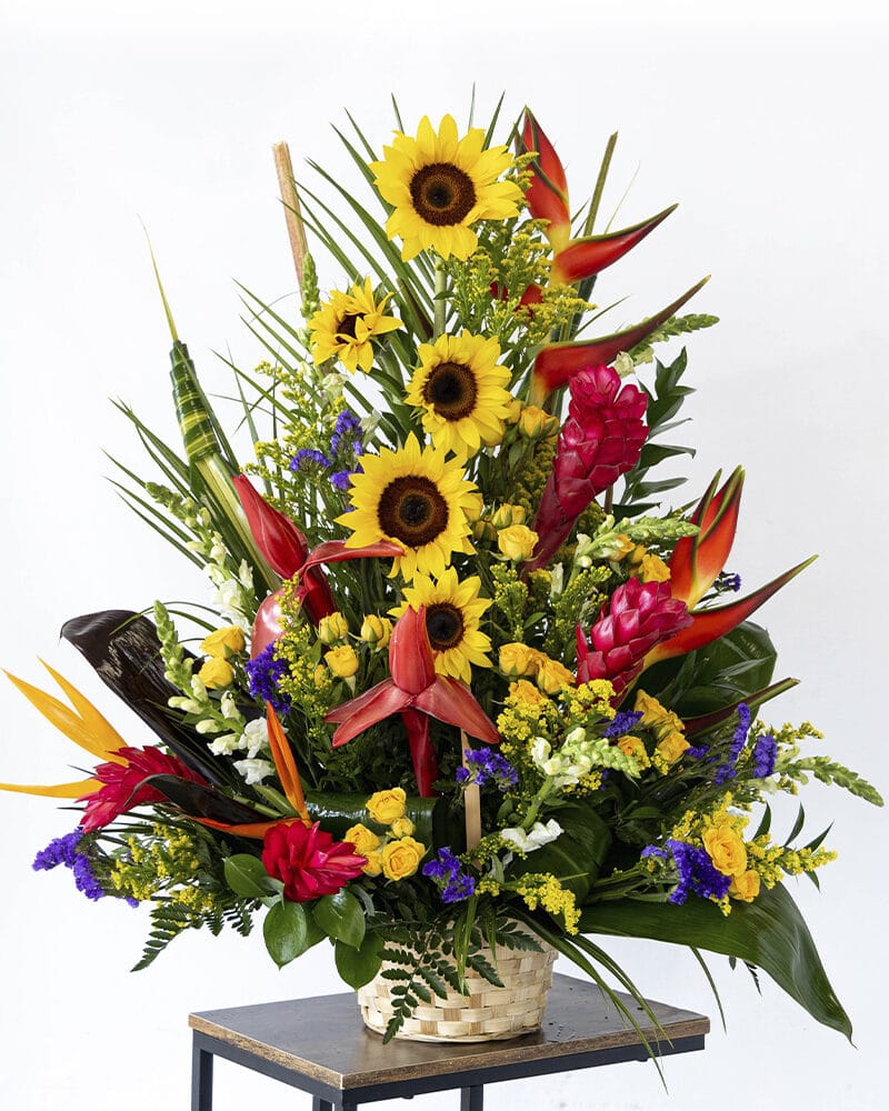 Big Tropical Flowers. Flowers shop Miami