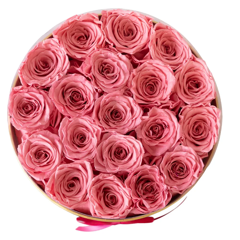 Preserved pink roses