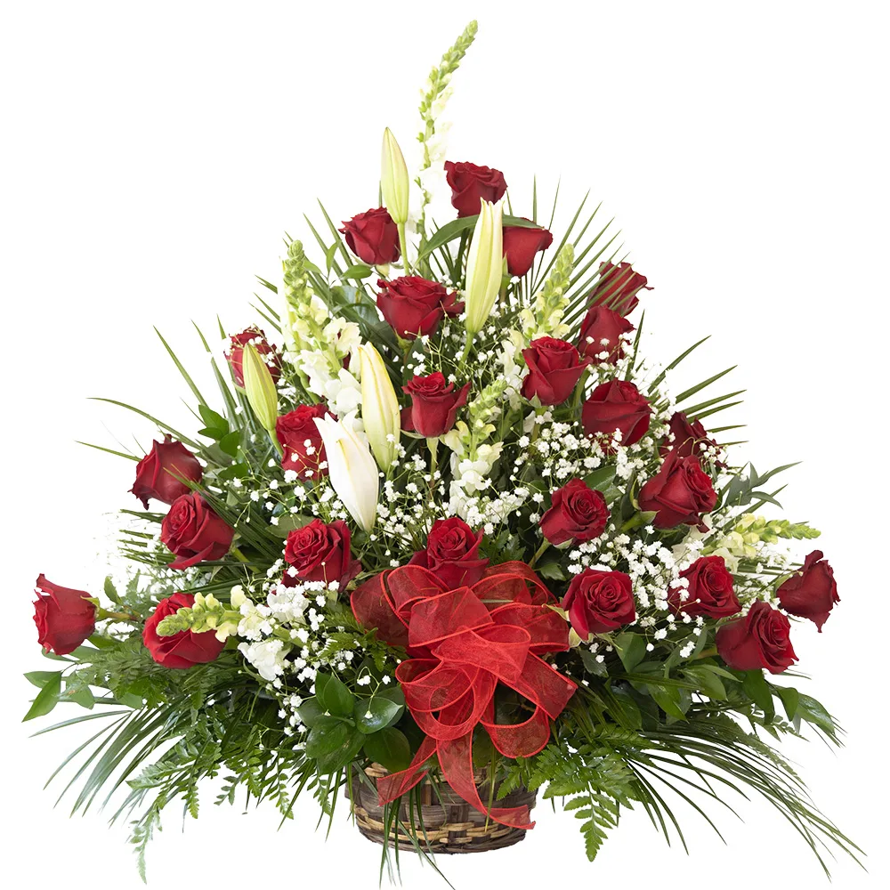 25 red roses cesta