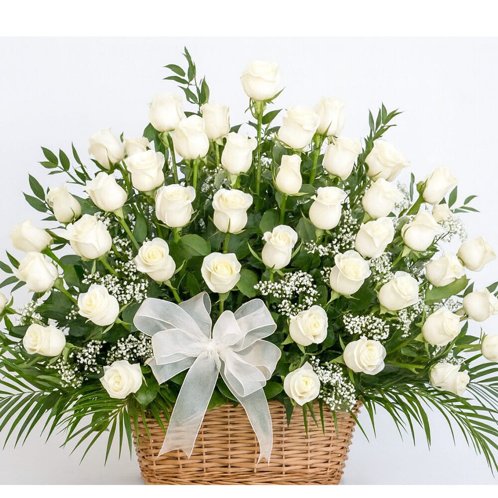 baske 100 roses white