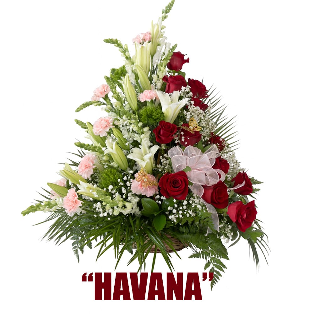 Havana flower