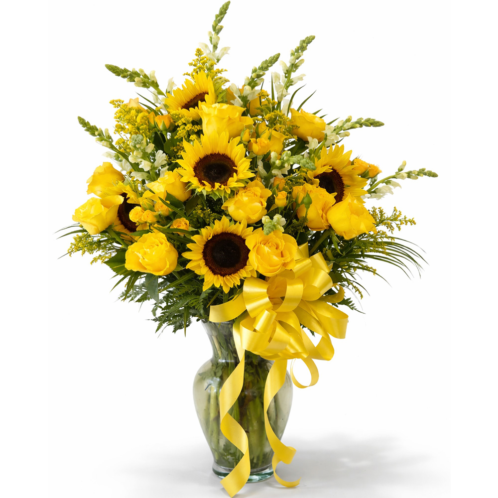 Casablanca Sunflowers Yellow Roses