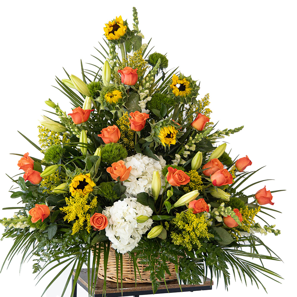 The Beauty of Nature in an Arrangement