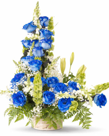 Espiral Blue Roses. Kenia Flower. Store Flowers Hialeah