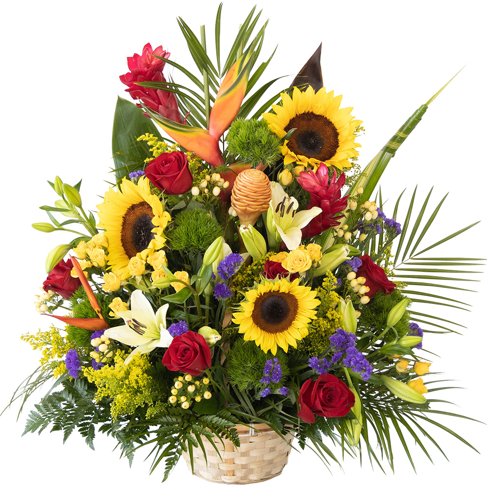 Tropical Flowers